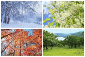 four seasons depicting seasonal energy savings tips